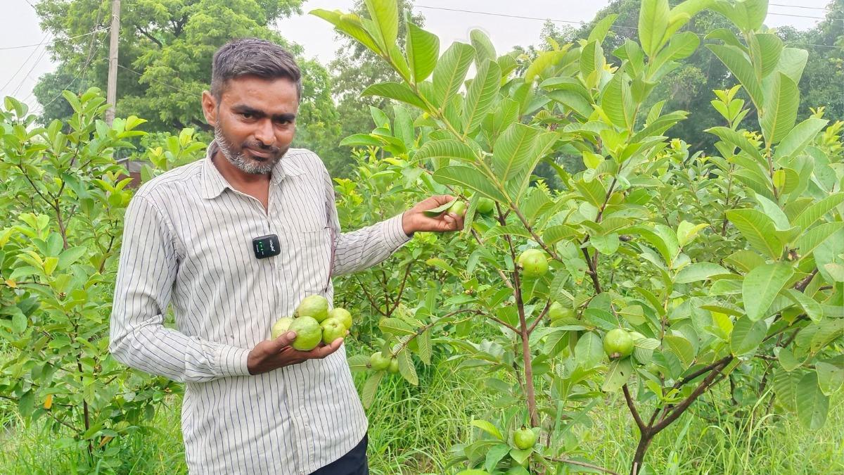 Farming in India