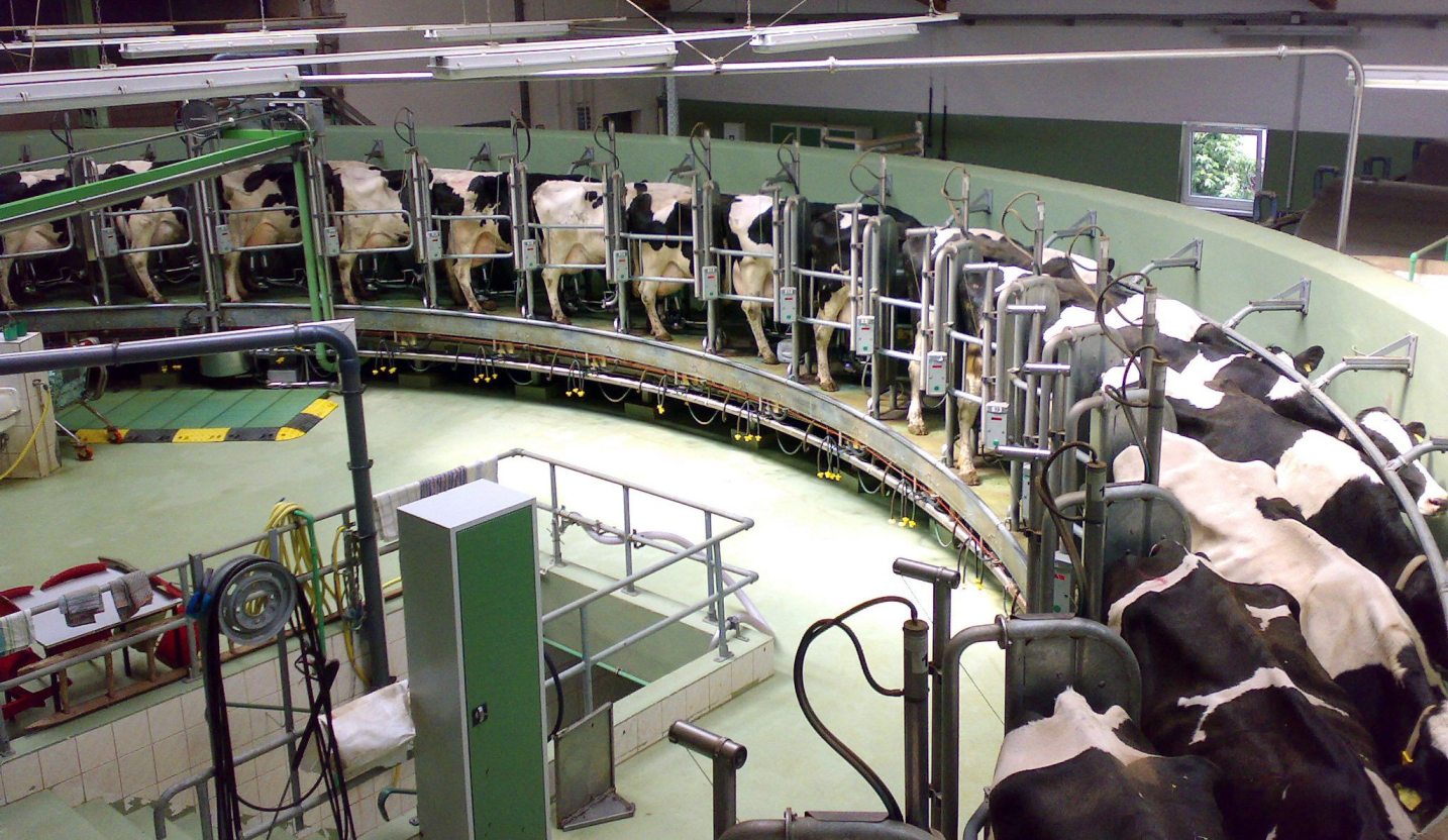 Dairy Farming in India 2026: સફળ ડેરી ફાર્મ શરૂ કરવાની સંપૂર્ણ માર્ગદર્શિકા
